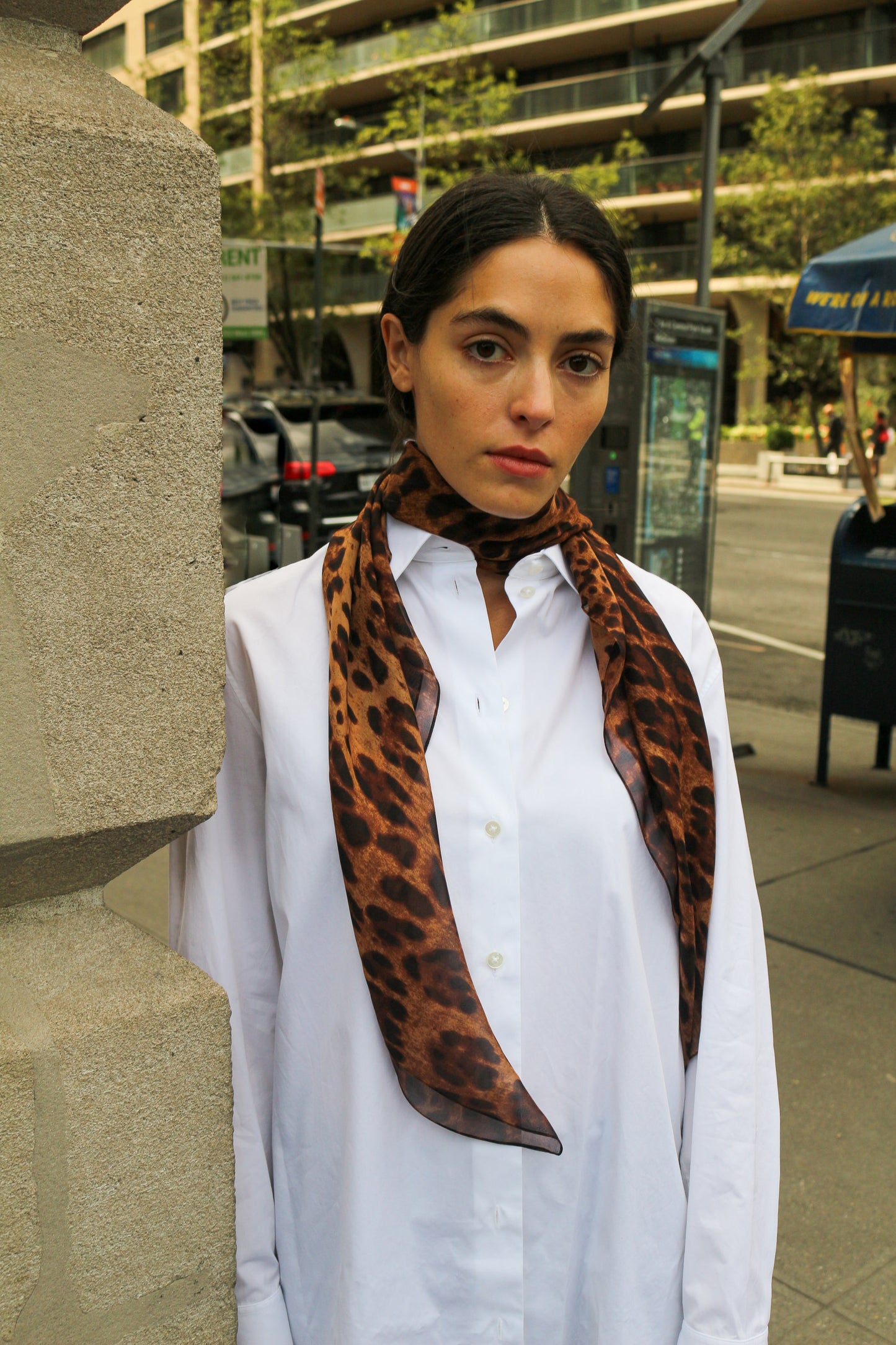 Nina Scarf in Silk Chiffon